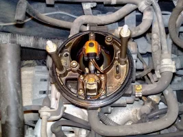 c.farfallato 1-1.webp