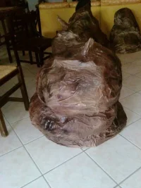 2016-09-26 001 2016-09-24 048.webp