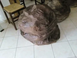 2016-09-26 001 2016-09-24 049.webp