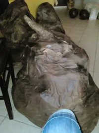 2016-09-26 001 2016-09-24 050.webp