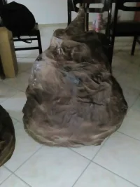 2016-09-26 001 2016-09-24 051.webp