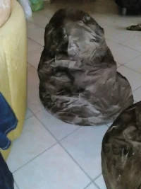 2016-09-26 001 2016-09-24 053.webp