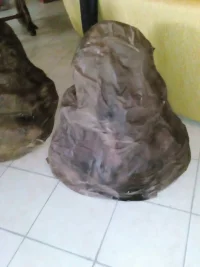 2016-09-26 001 2016-09-24 054.webp