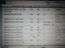 coppie serraggi.webp