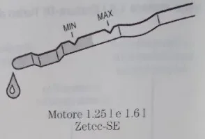 olio astina livello manuale DSCN1476_2.webp