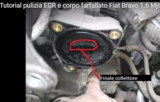 finale collettore.webp