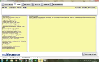 Immaginep490.webp Immaginep490.webp