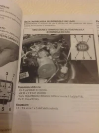 image.webp image.webp