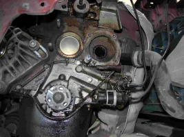 MOTORE SENZA CINGHIE E POMPA ACQUA.webp