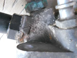 DSCN3436.webp DSCN3436.webp