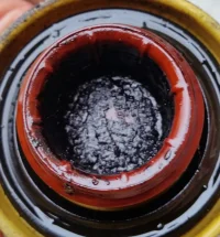 WhatsApp Image 2019-01-17 at 18.51.12-2.webp