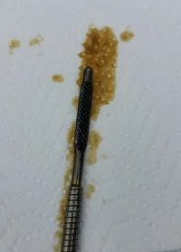 WhatsApp Image 2019-01-17 at 18.51.12-3.webp