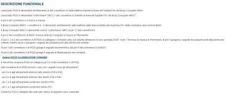 descrizione funzionale Daiichi.webp