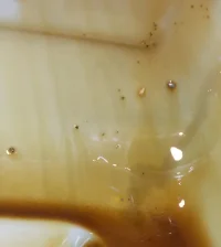 petronas detriti DSCN3276_2.JPG