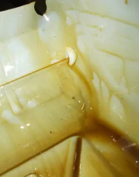 petronas detriti DSCN3277_2.JPG