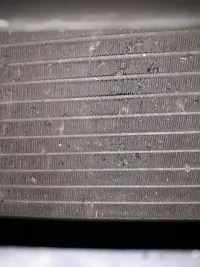 2019-07-01 22.33.32.webp