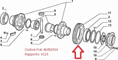 naread.webp naread.webp