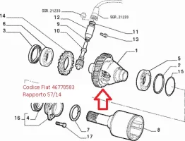 naread (1).webp naread (1).webp