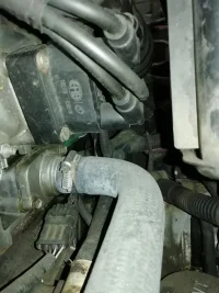 IMG_20191205_105849_resized_20191205_114453260.jpg IMG_20191205_105849_resized_20191205_114453260.jpg