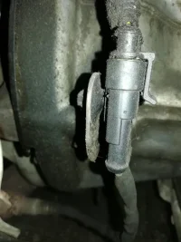 IMG_20191205_105944_resized_20191205_114452237.jpg IMG_20191205_105944_resized_20191205_114452237.jpg