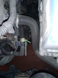 cigolio.jpg cigolio.jpg