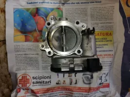 primaii.jpg primaii.jpg