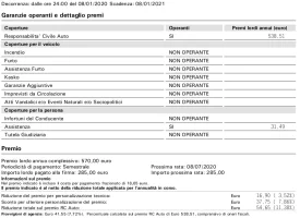 assicurazione 2020 sintesi.webp