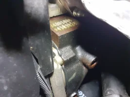 20200619_080218.jpg 20200619_080218.jpg