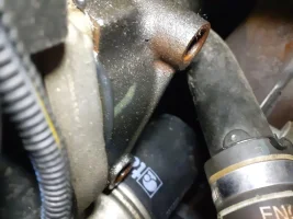 20200619_080250.jpg 20200619_080250.jpg