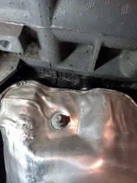 20200619_080311.jpg 20200619_080311.jpg