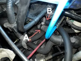 20200629_121300 ridotta.jpg