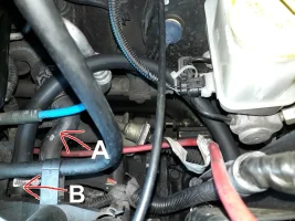 20200629_121329 ridotta.jpg