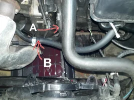 20200629_121344 ridotta.jpg