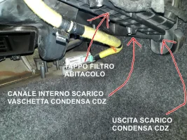 20200707_174446 RIDOTTO.jpg