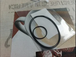 20200822_185103.webp 20200822_185103.webp