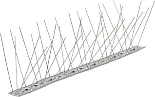 piccioni dissuasore.webp