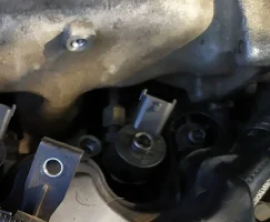 bisIMG_20200828_151944 (2).jpg