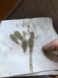 IMG_8974.webp IMG_8974.webp