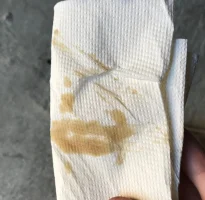 20201125_174027.webp 20201125_174027.webp