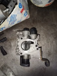 WhatsApp Image 2021-01-01 at 17.55.50.webp