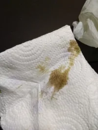 IMG_20210115_184707273.webp IMG_20210115_184707273.webp