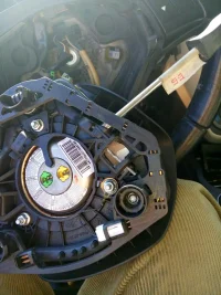 01_aurbug.jpg 01_aurbug.jpg