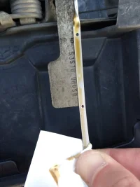 IMG_20210303_172410404.webp IMG_20210303_172410404.webp