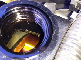 IMG_20210303_172606881.webp IMG_20210303_172606881.webp