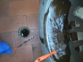 IMG_20210314_160625.jpg IMG_20210314_160625.jpg