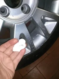 IMG_20210316_161546.jpg IMG_20210316_161546.jpg