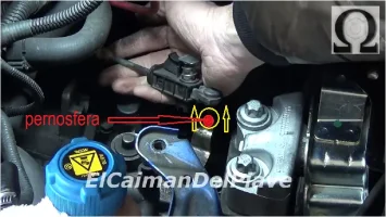 distacco pernosfera.webp