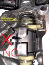 leva fuori sede.webp