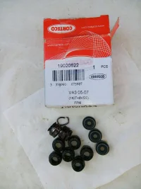 paraoilo valvole.jpg