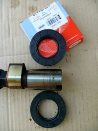 paraolio camme esterno.jpg paraolio camme esterno.jpg